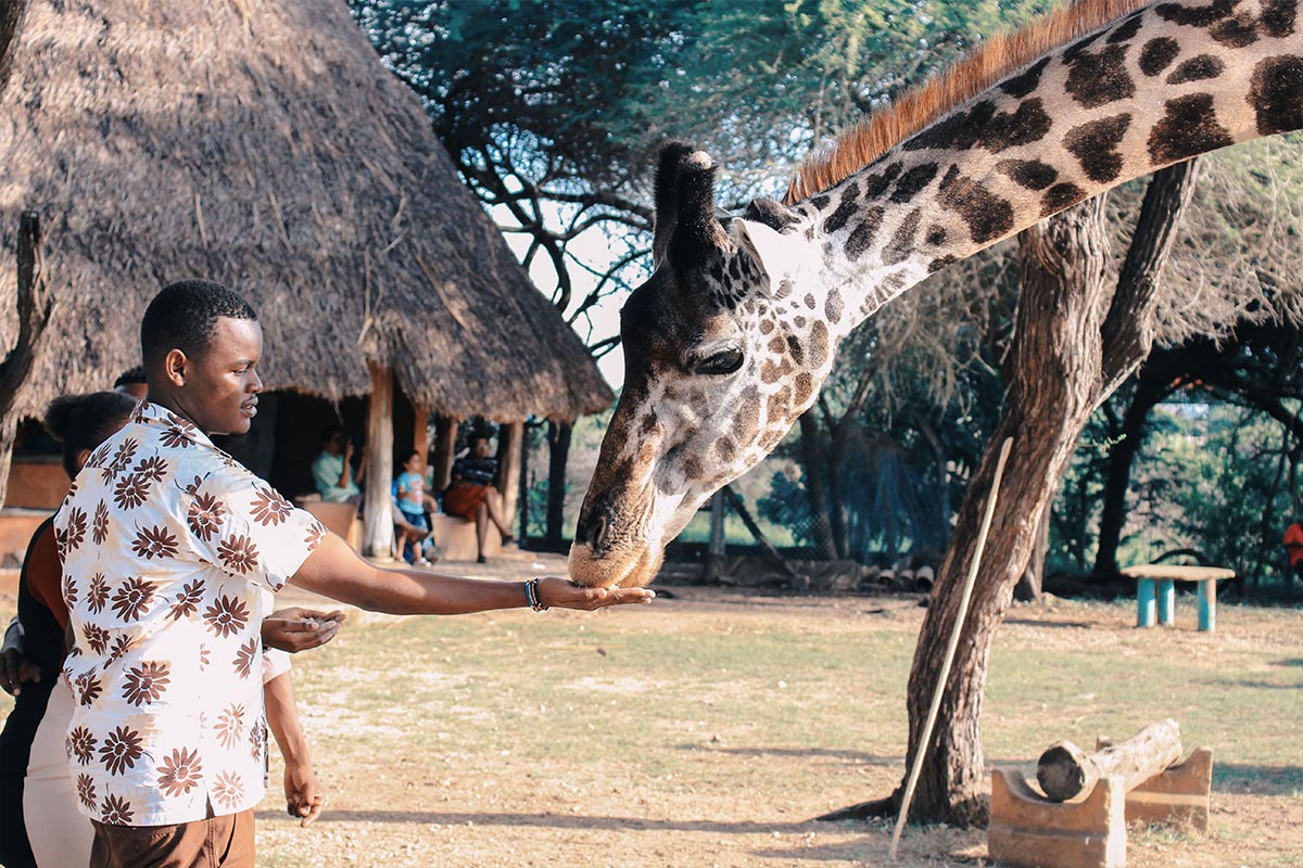 Mann mit Giraffe